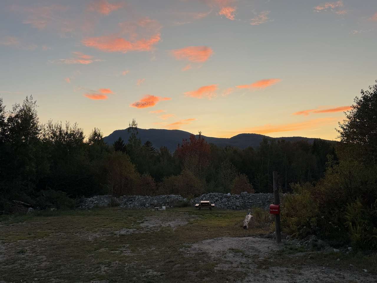 Picture of the site