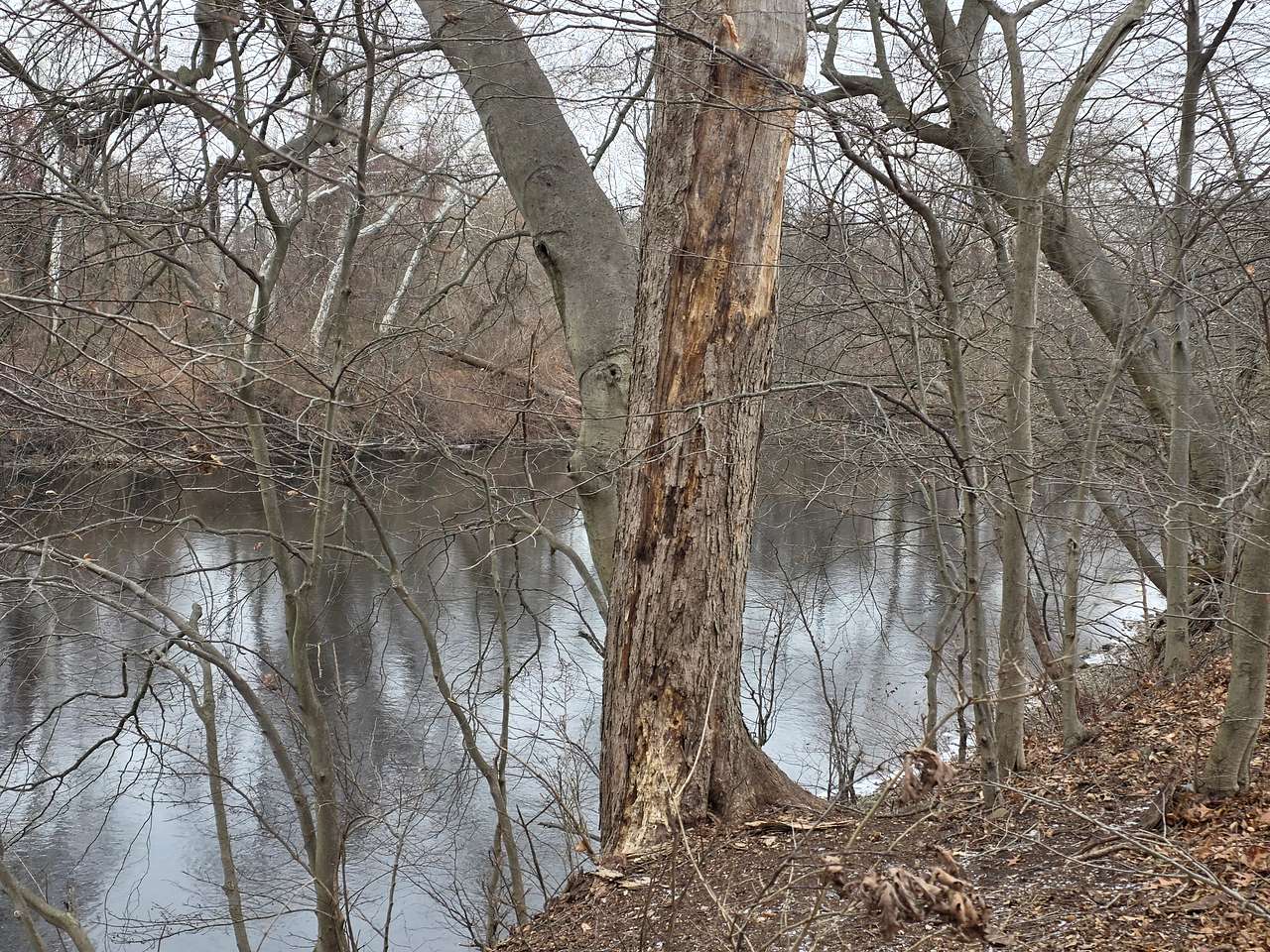 Riverside Hideaway