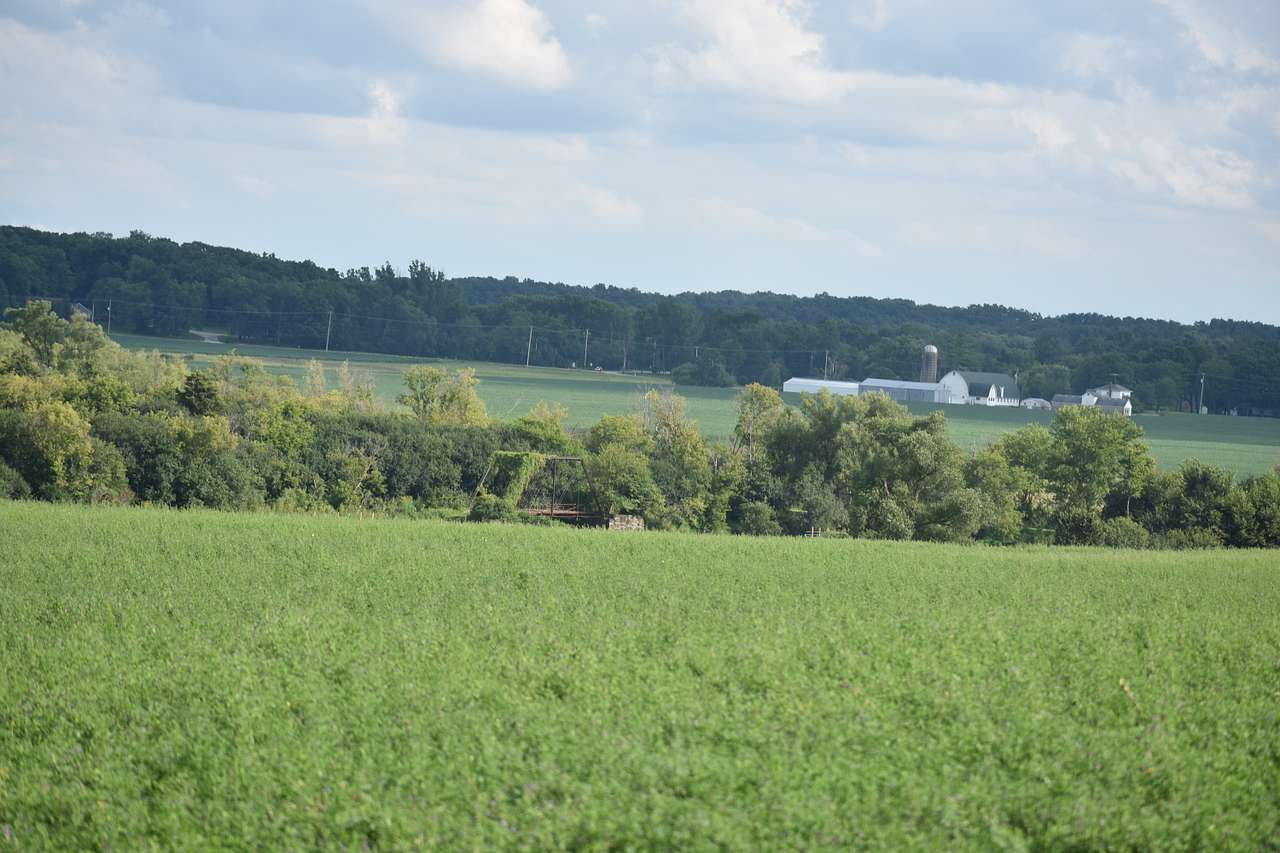 High County Estate
