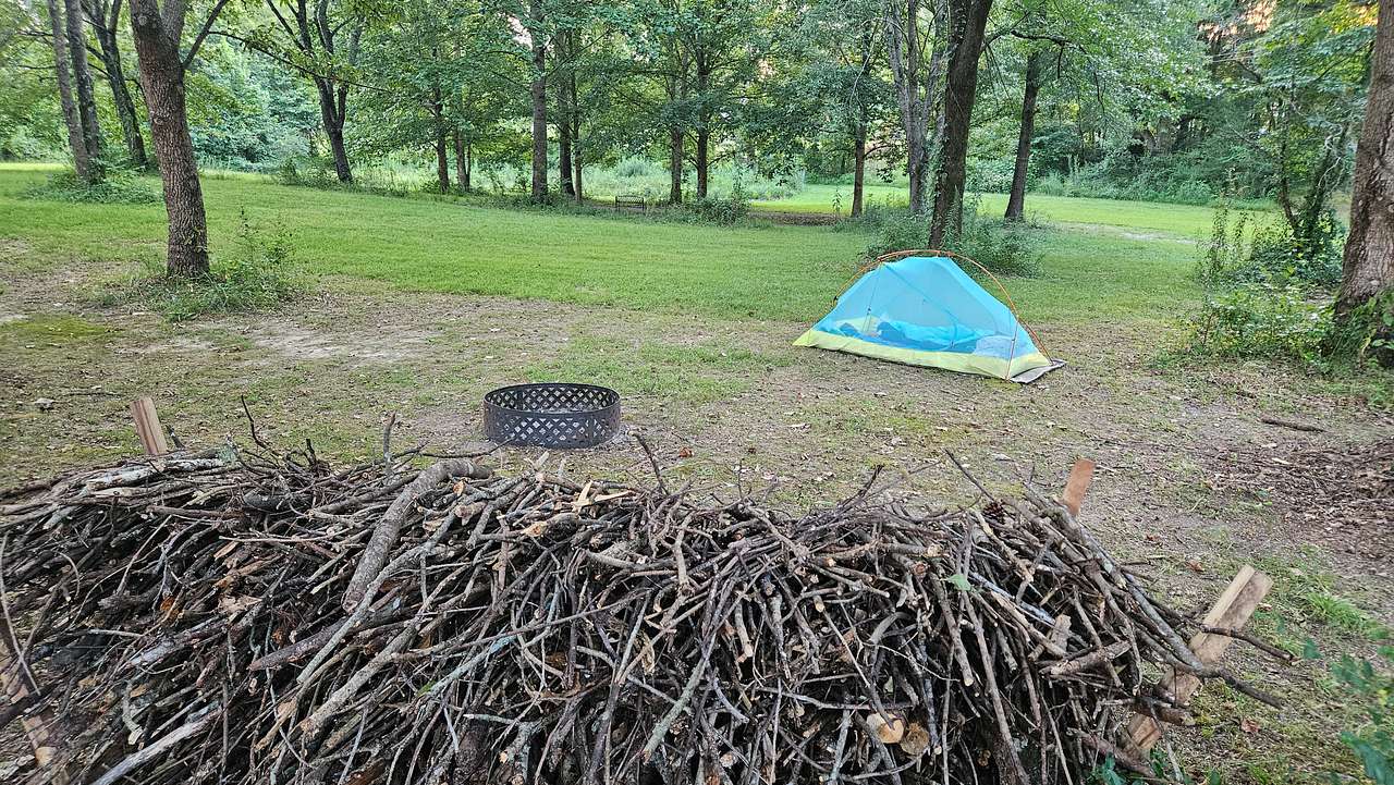 Picture of the site
