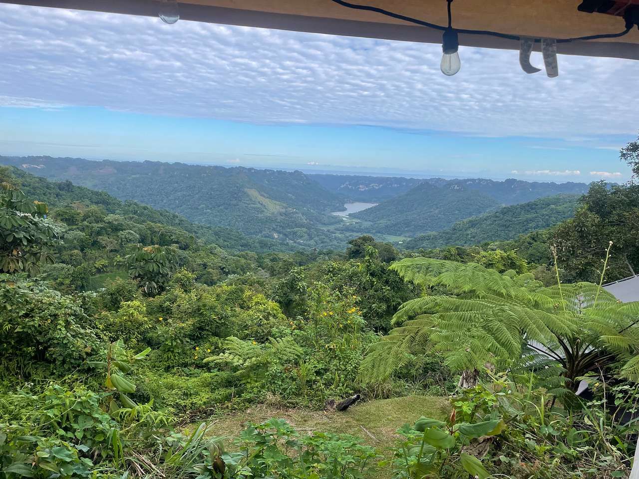 Rainforest Campground & Glamping