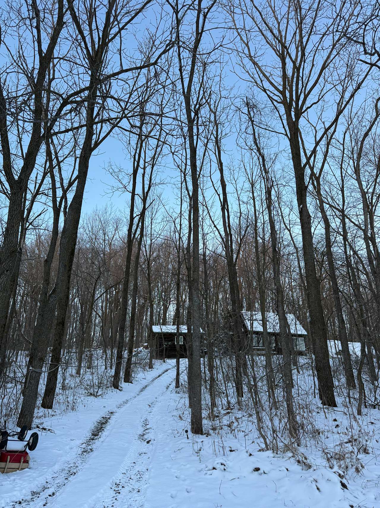 Easy walk up to the cabin from the parking area (and a quick sled ride back down)
