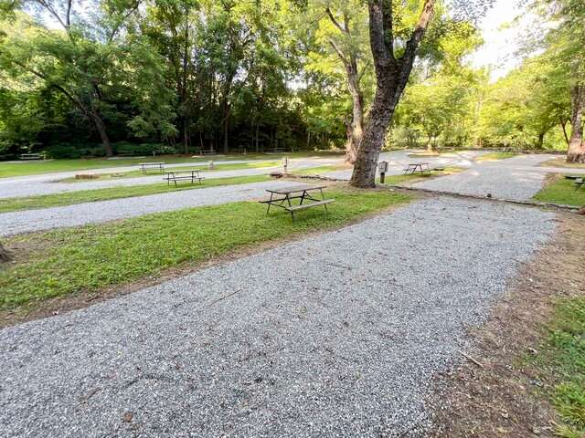 Lazy Turtle Campground & Cabins