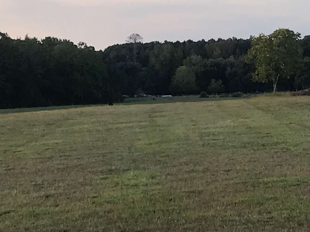 Rv space approximately 5 acres near rear of the property 