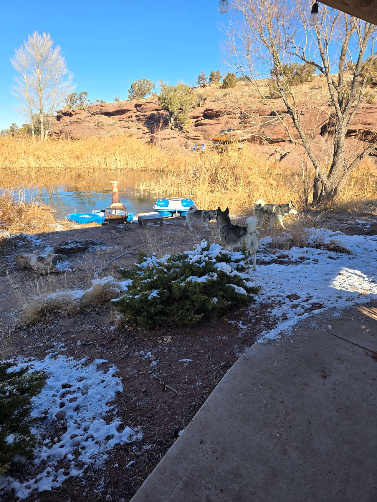 Cabin by the Pond