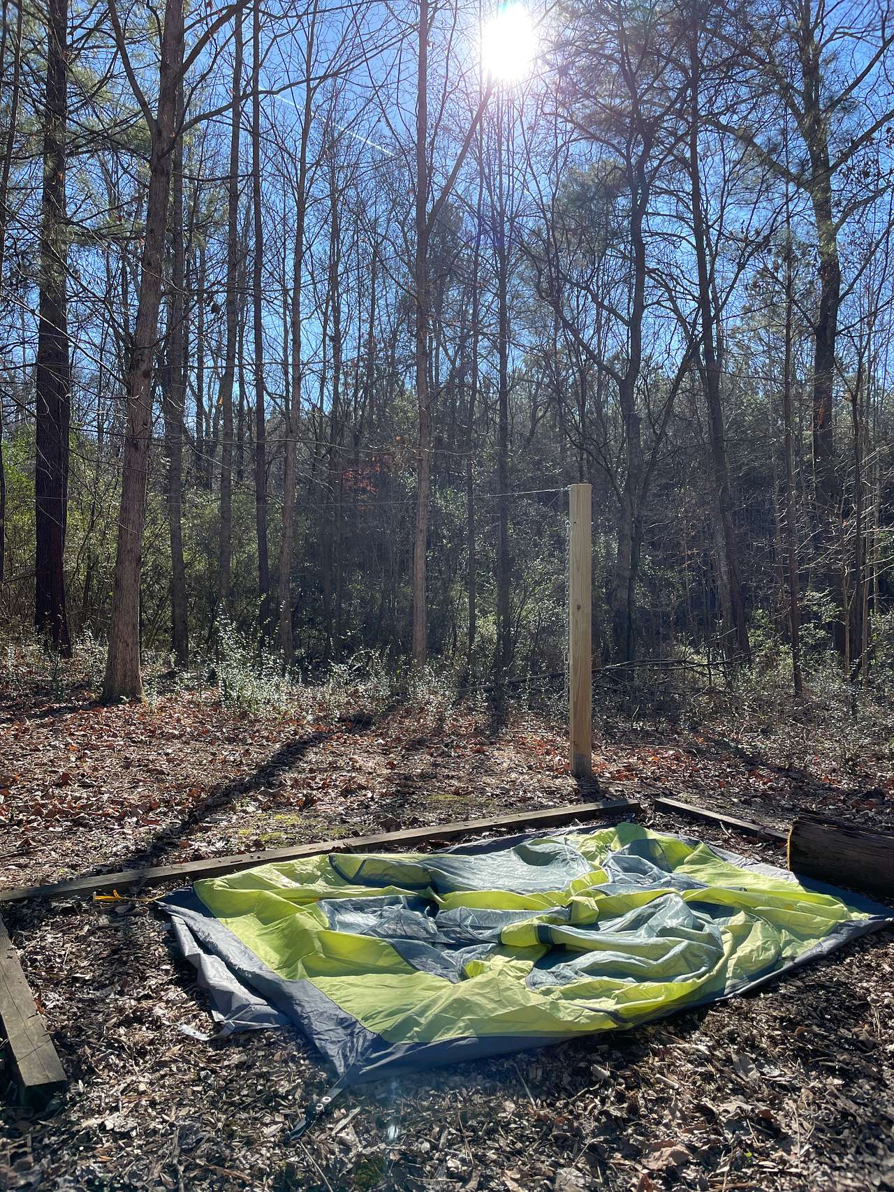 Picture of the site