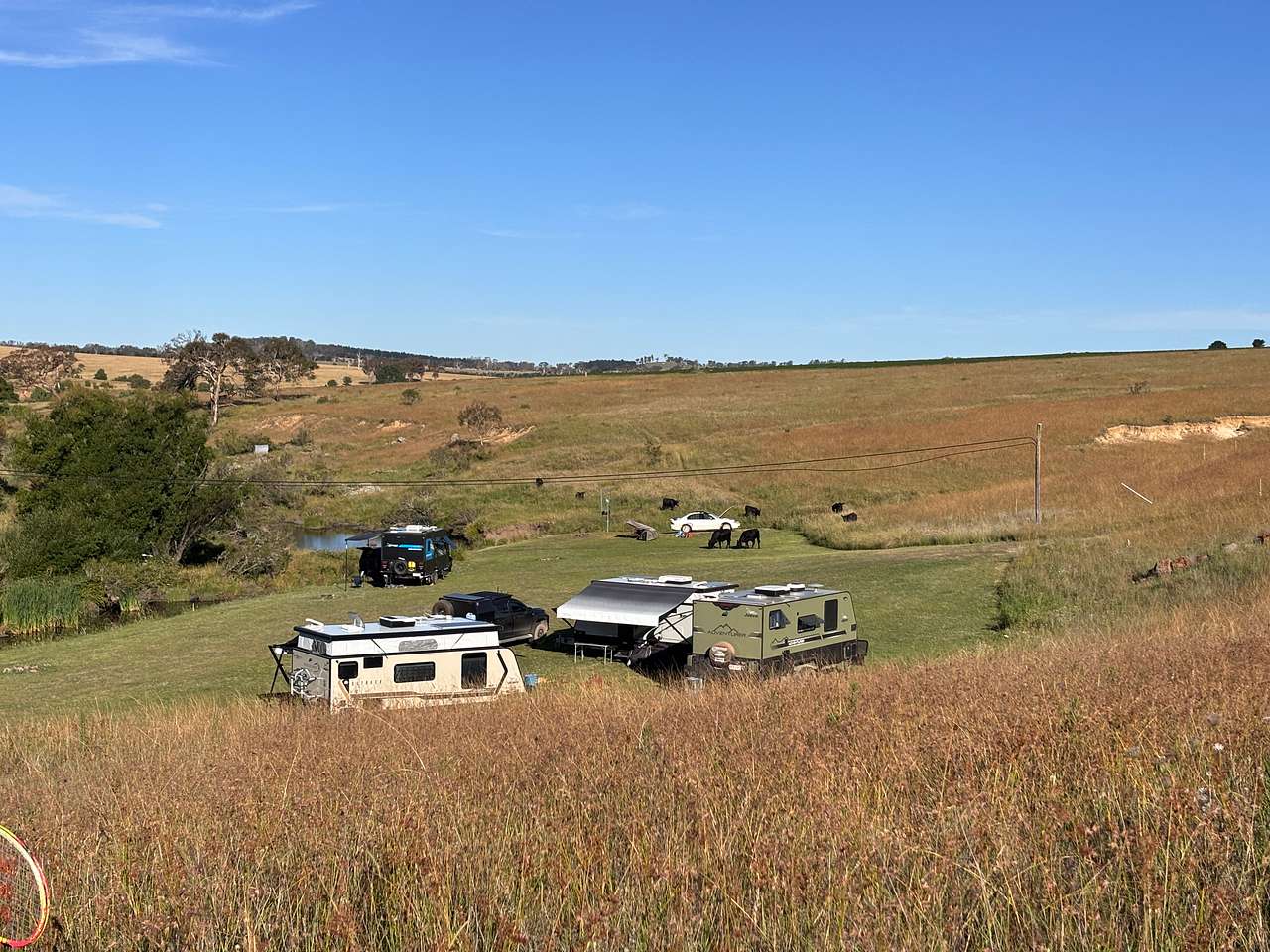 Picture of the site