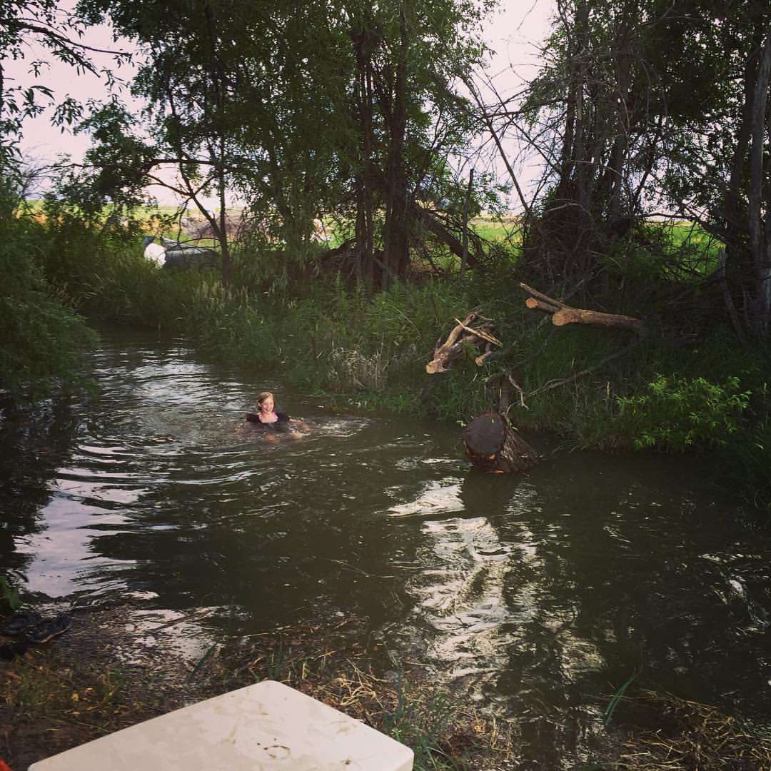 Picture of the site