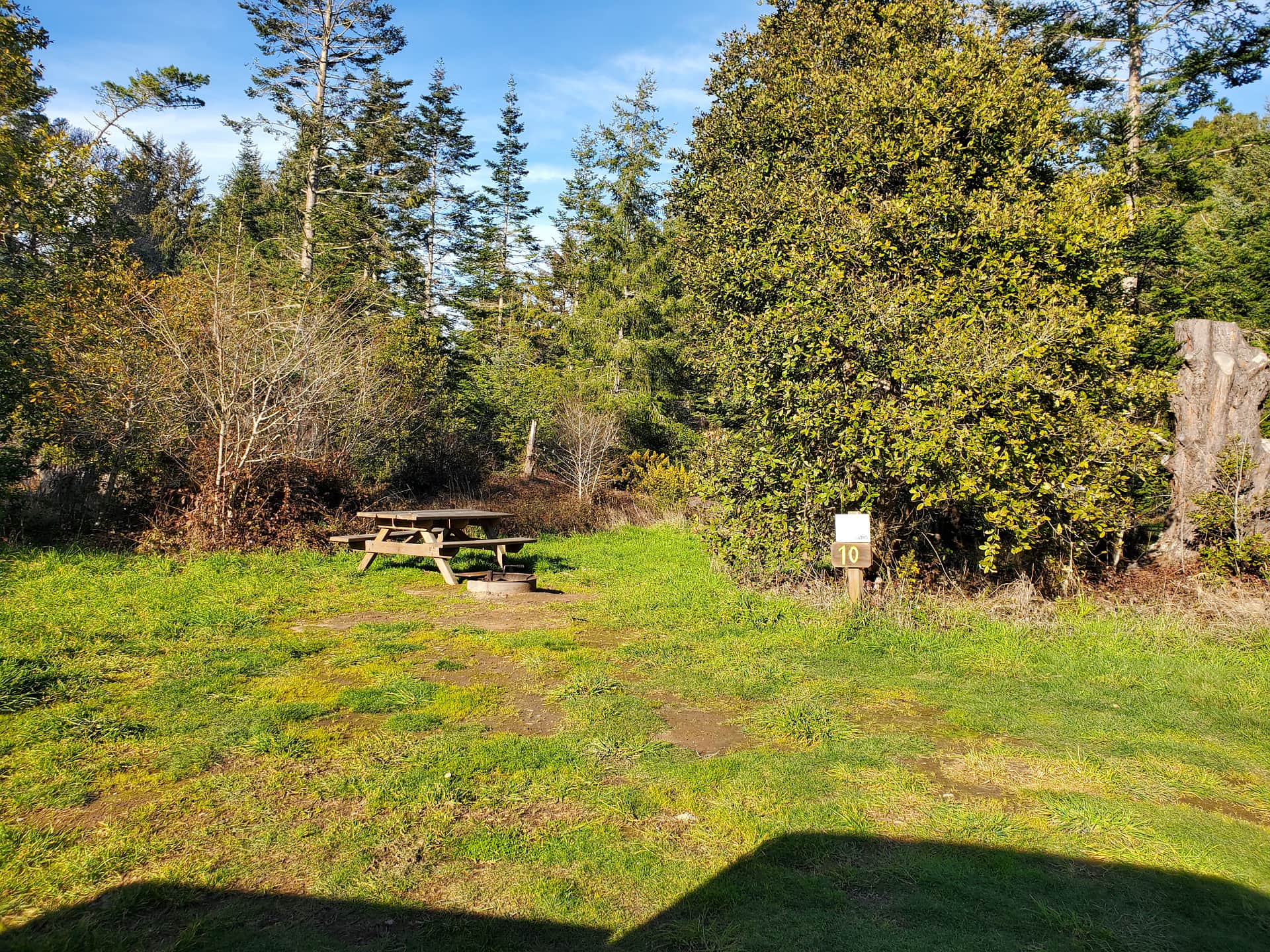 Site #10
