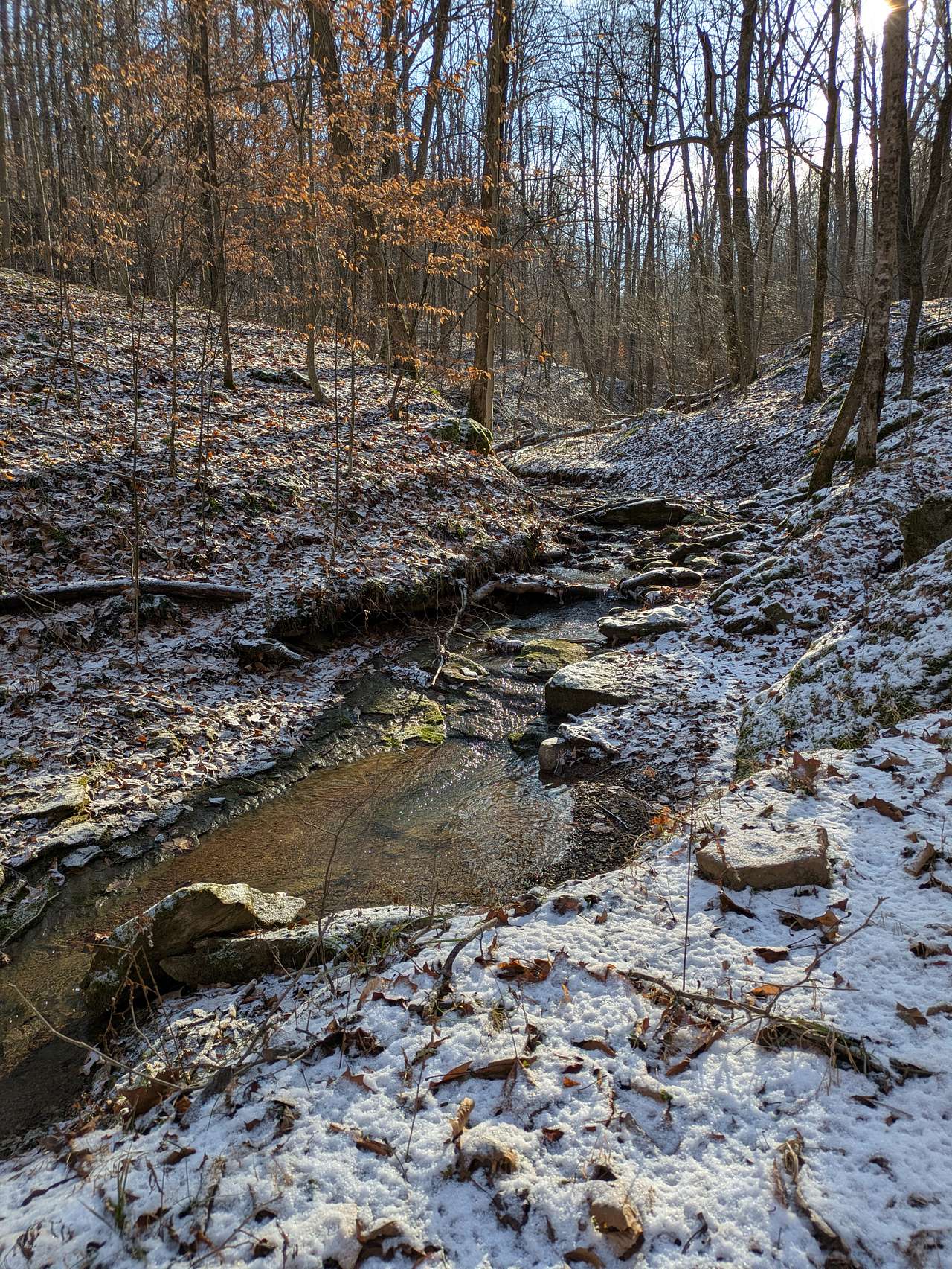 The creek that runs along one of the main trails from the cabin. 