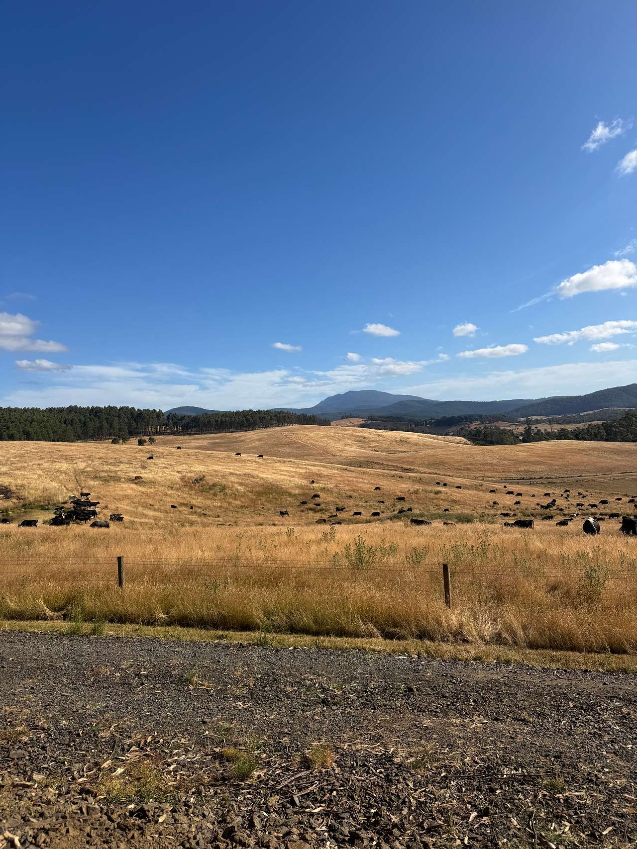 Mabel's Paddock RV Farm Stay