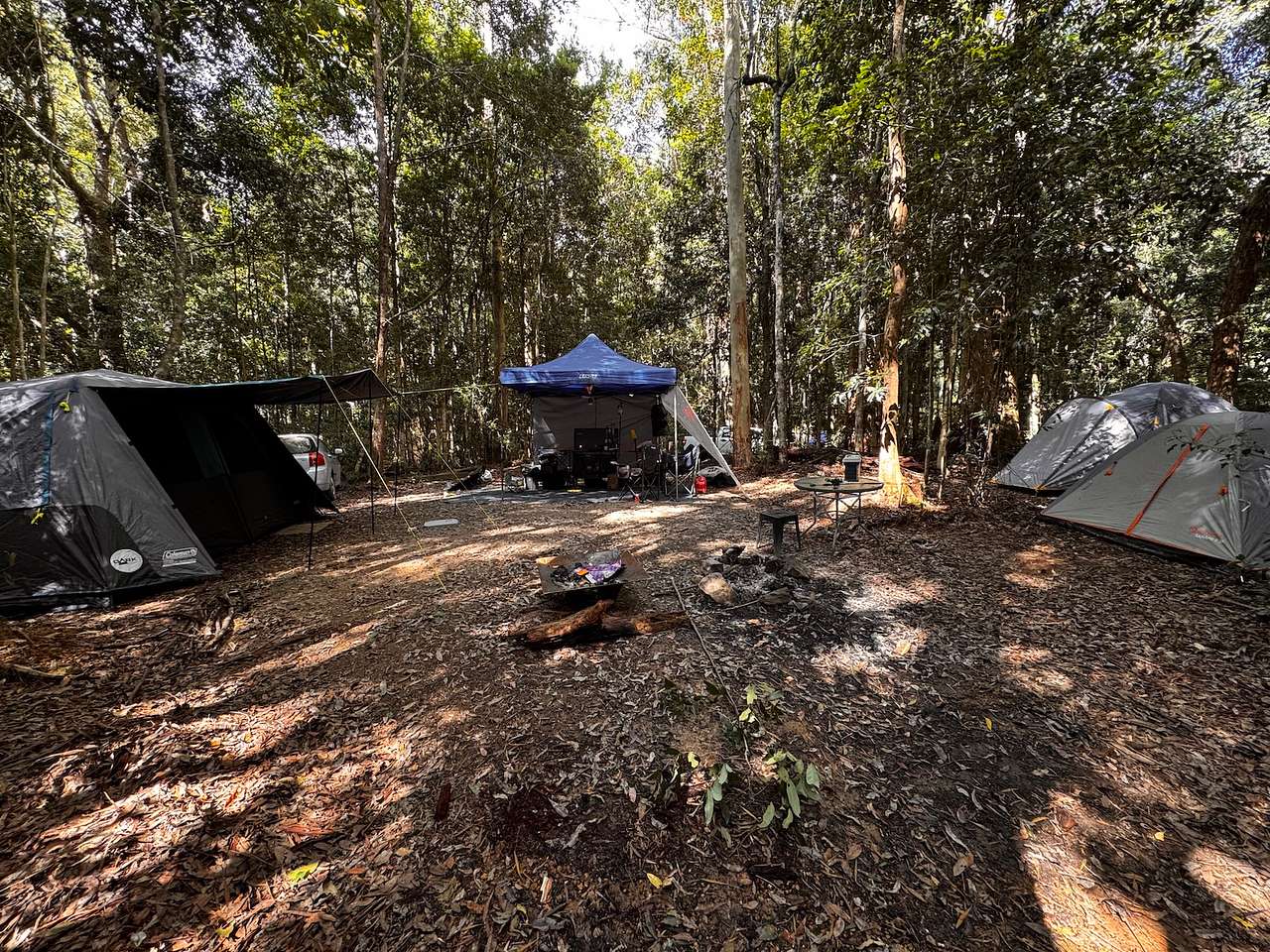 Frog Hollow Rainforest Camping