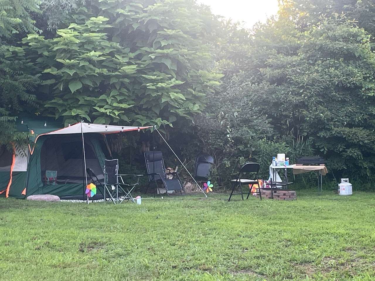 Picture of the site