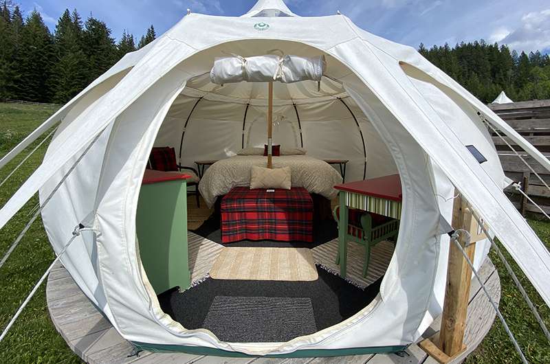 Bear Spring Glamping
