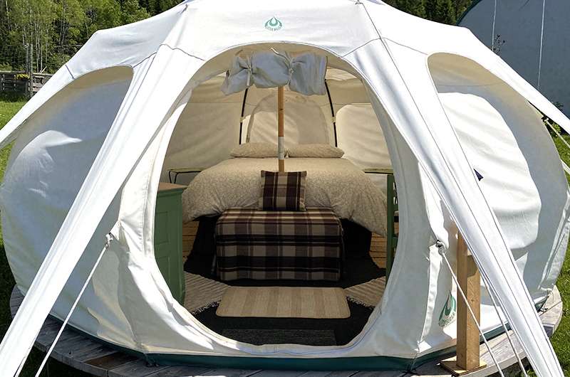 Bear Spring Glamping