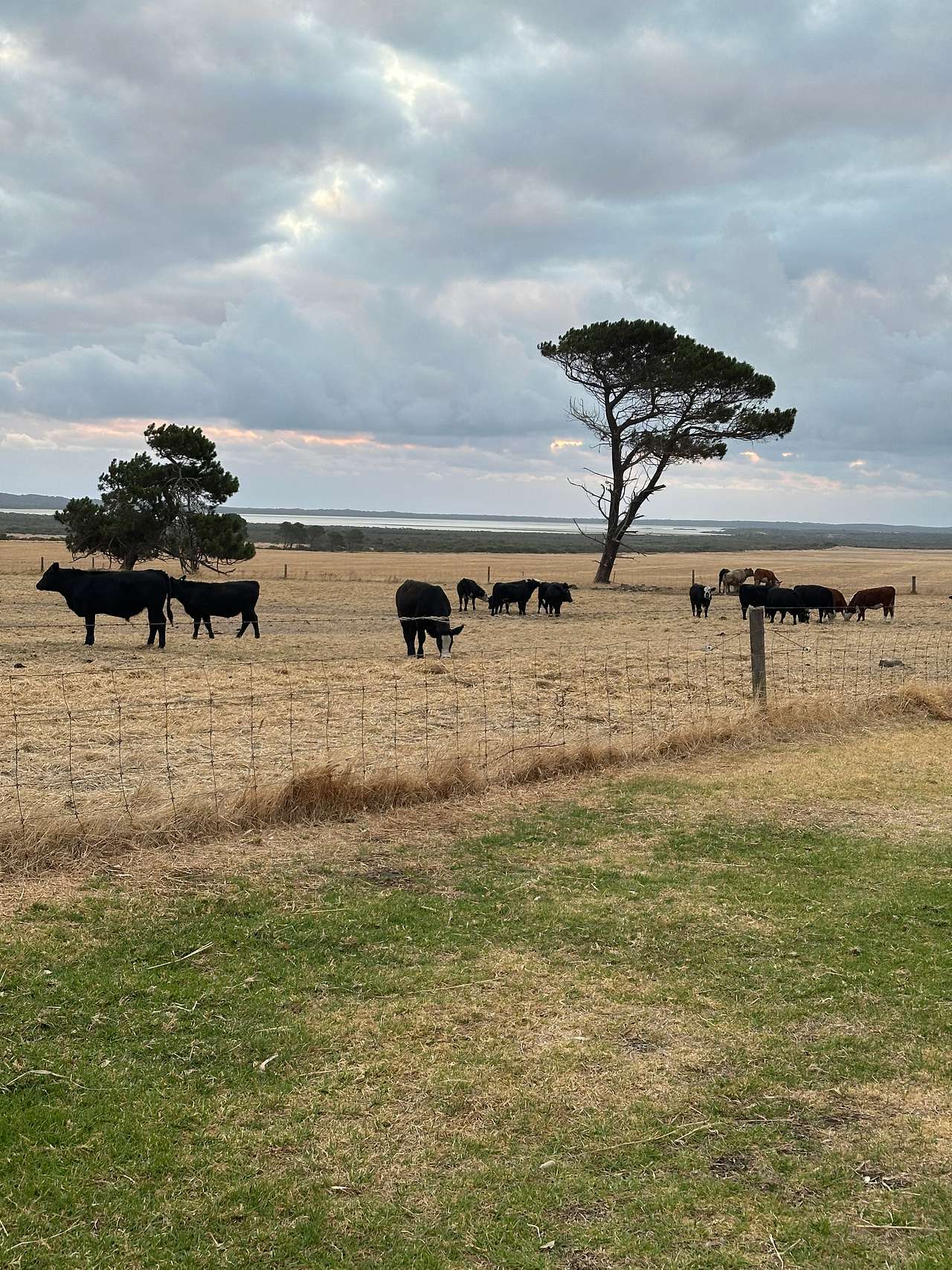 Munglinup Farm Stay