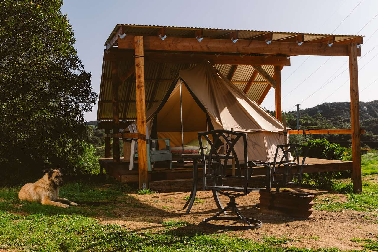 Campo Nopalito