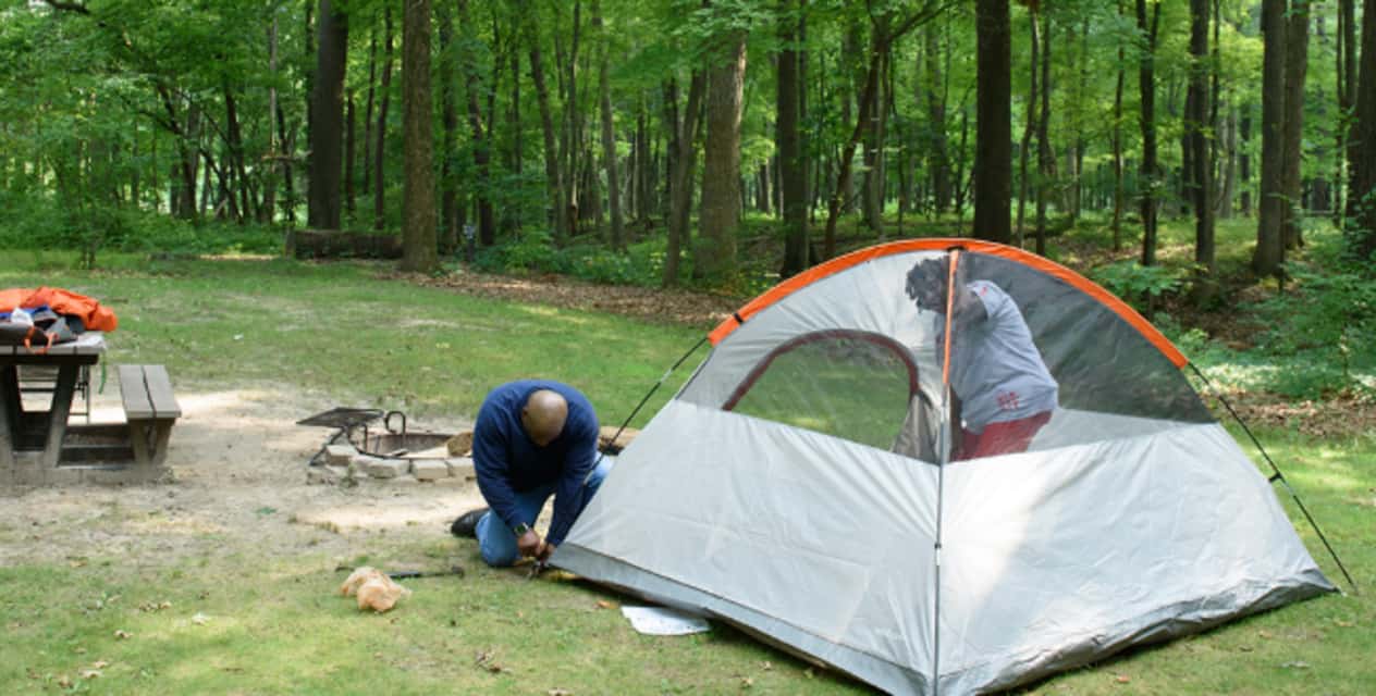 Picture of the site