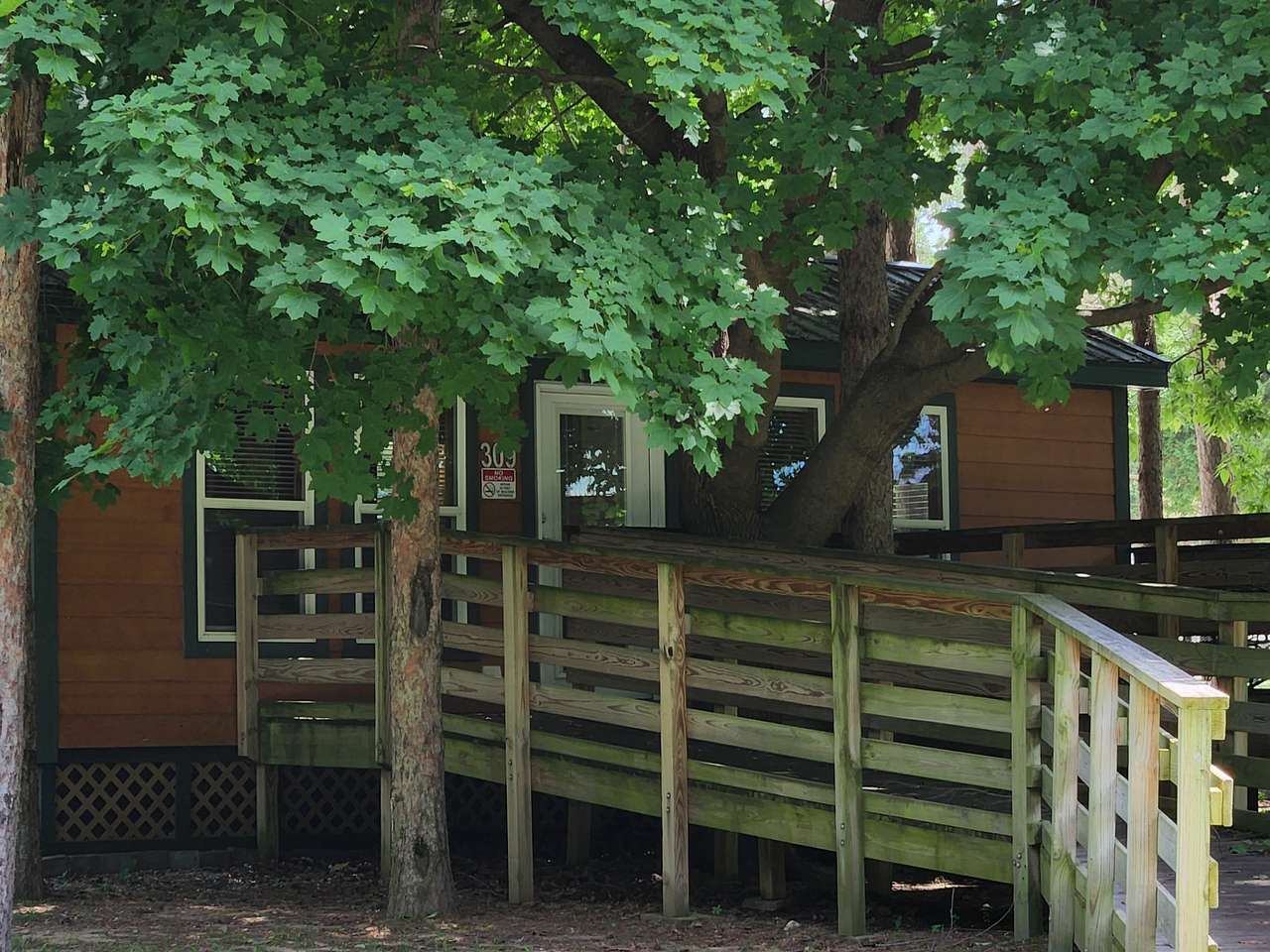 Picture of the site