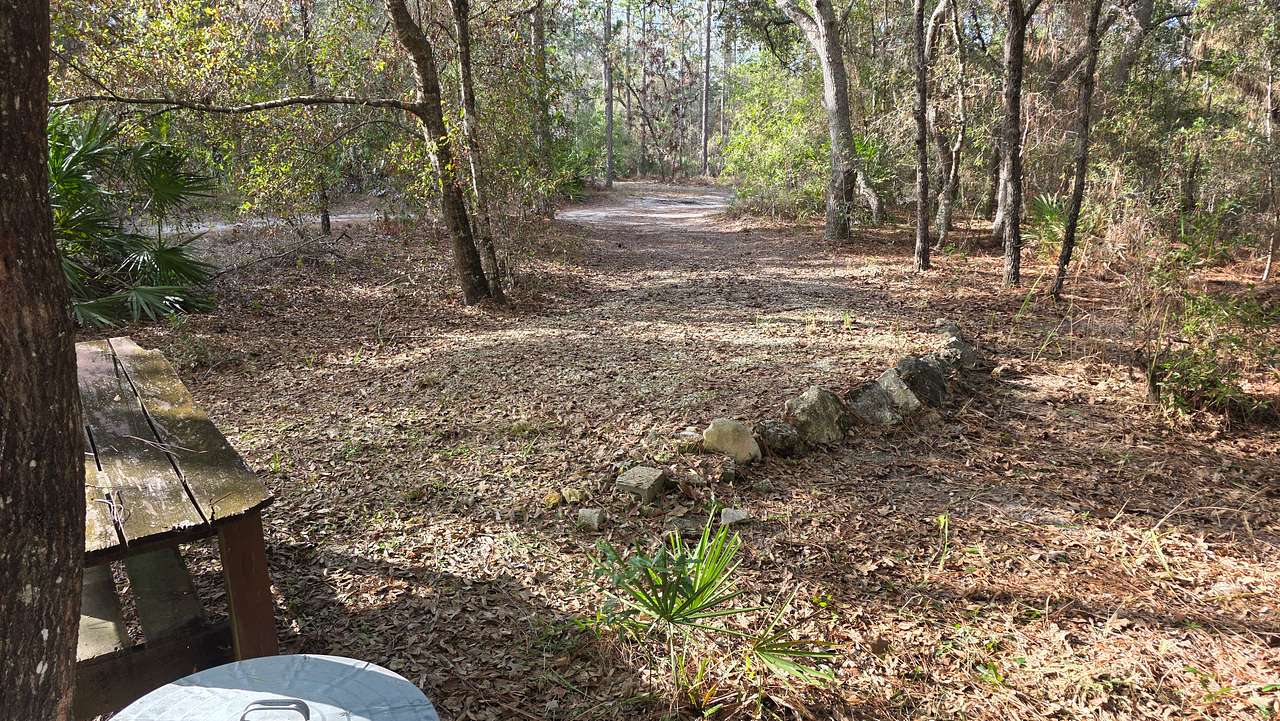 RV site #1 is a "back in" site. It will accommodate up to a 25ft bumper pull trailer comfortably.  It is a gravel pad angled from the main driveway. 