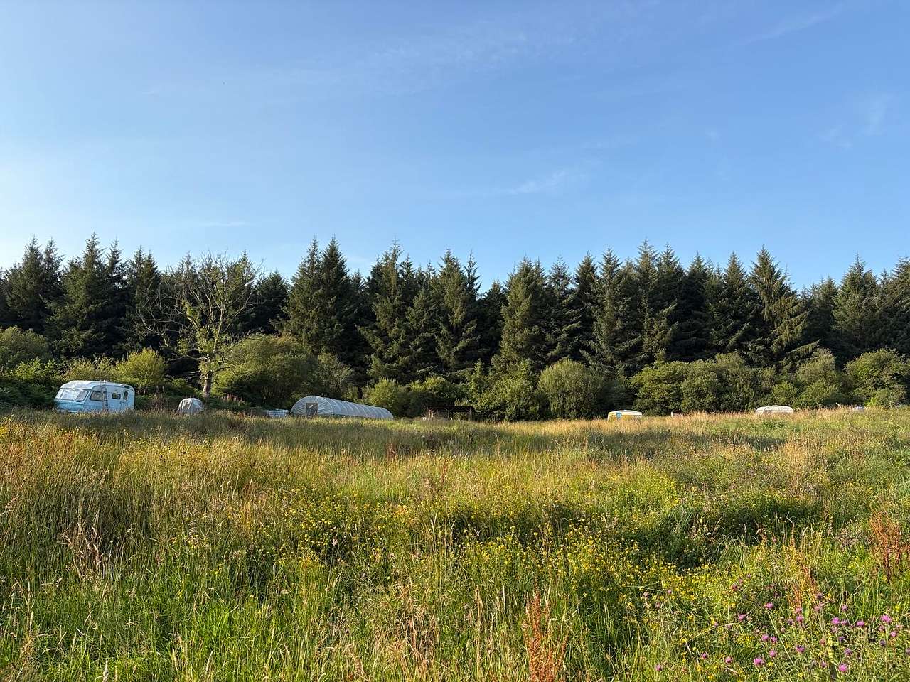 Picture of the site