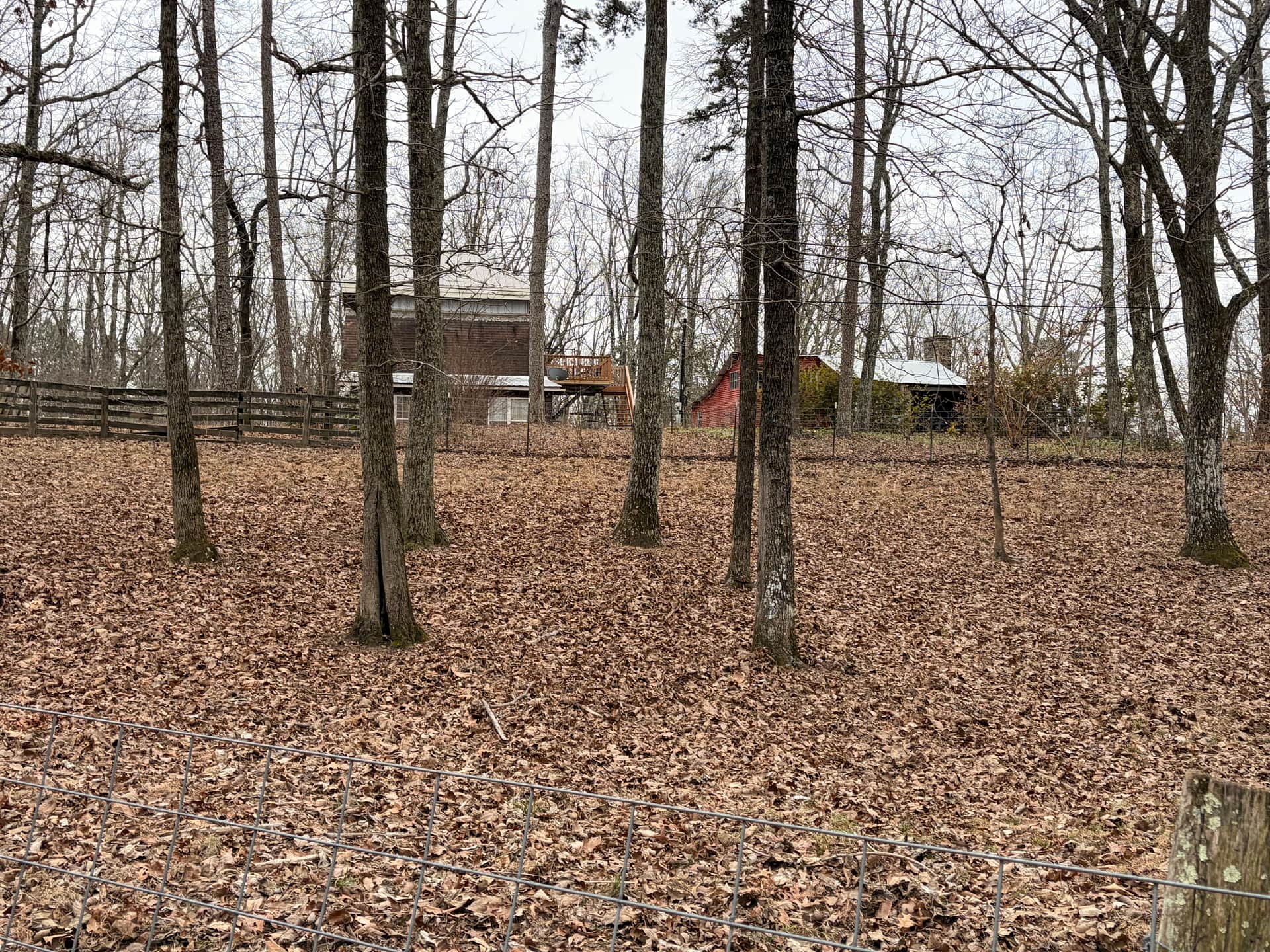Mountaintop Farm Cabin