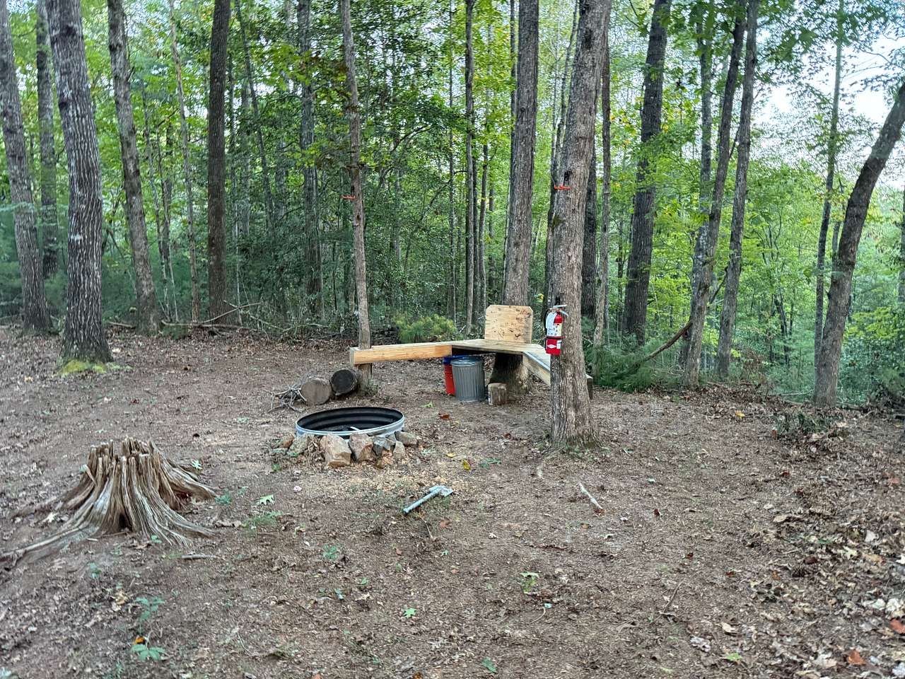 Picture of the site