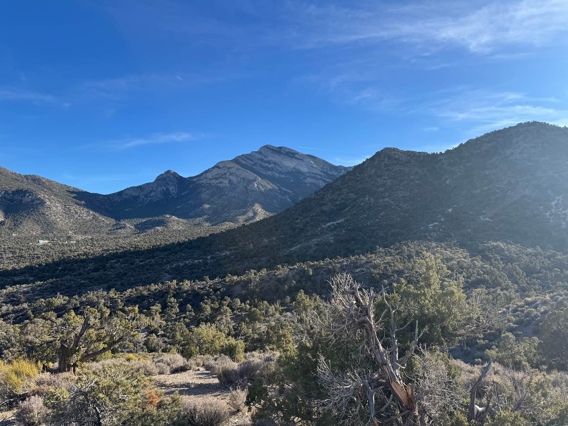 Potosi Pines Camp