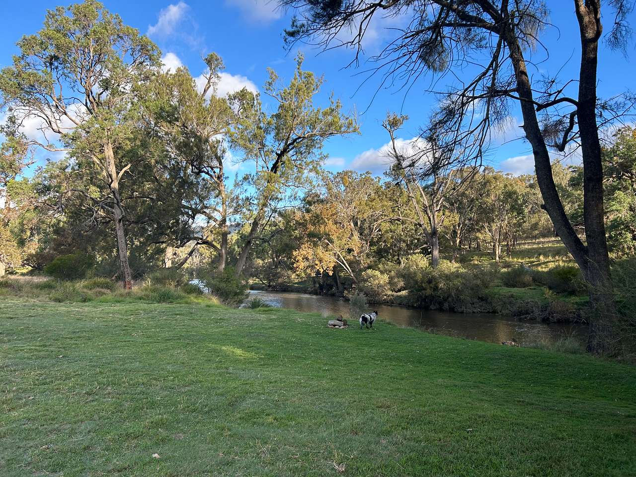 Sawyers Rest.