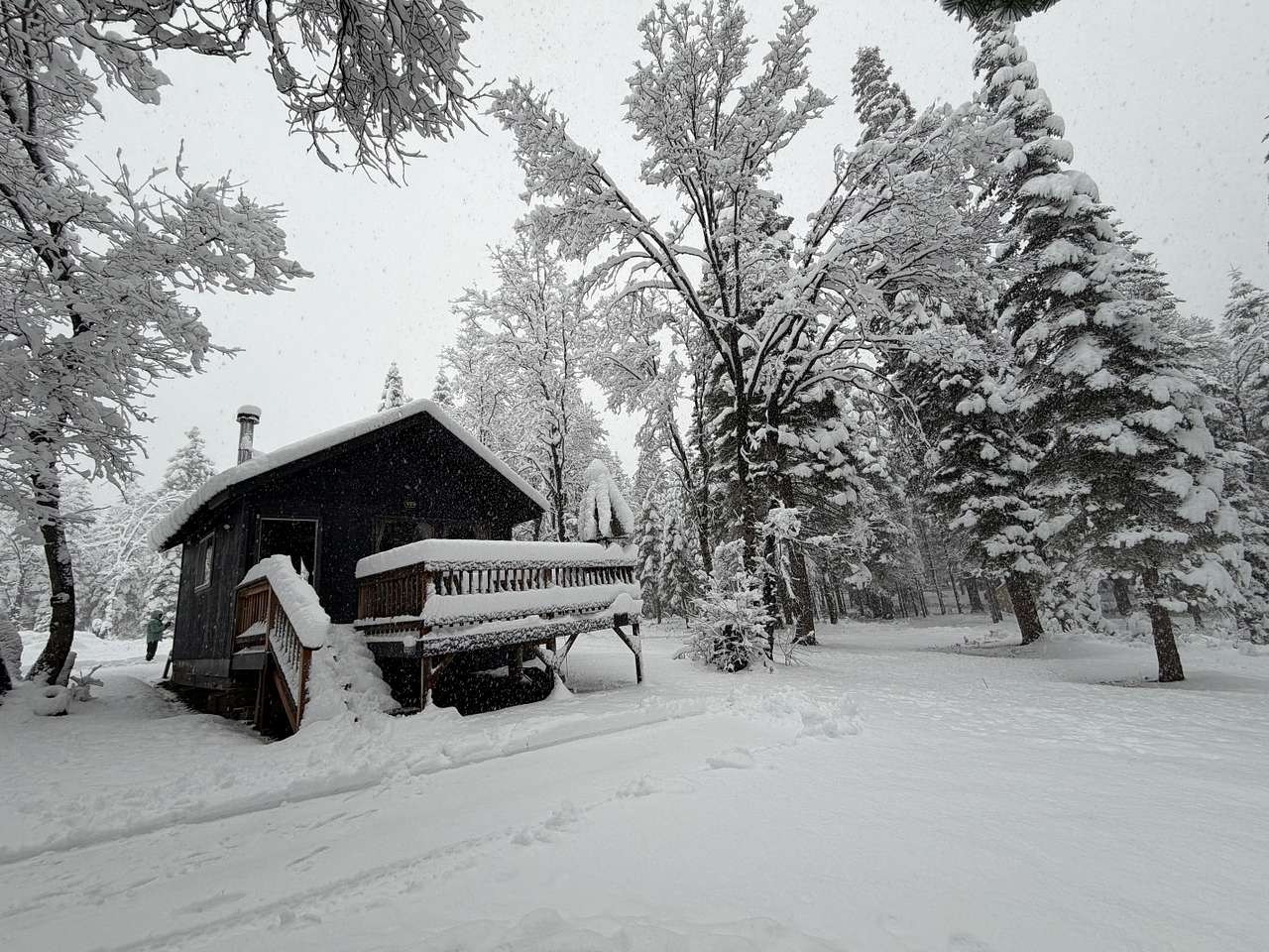 Lazy Bear Cabin