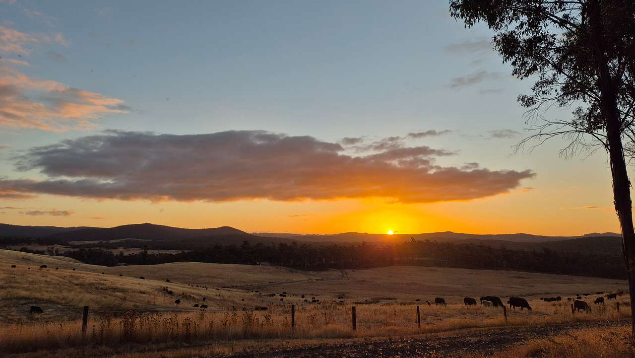 Mabel's Paddock RV Farm Stay
