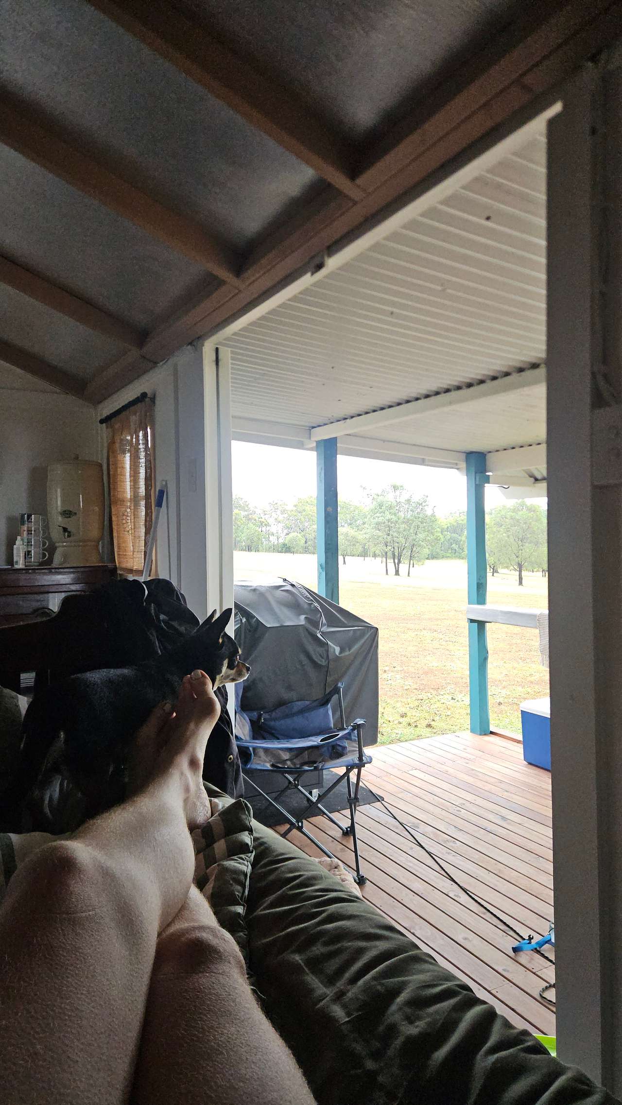 Fig Tree Camp