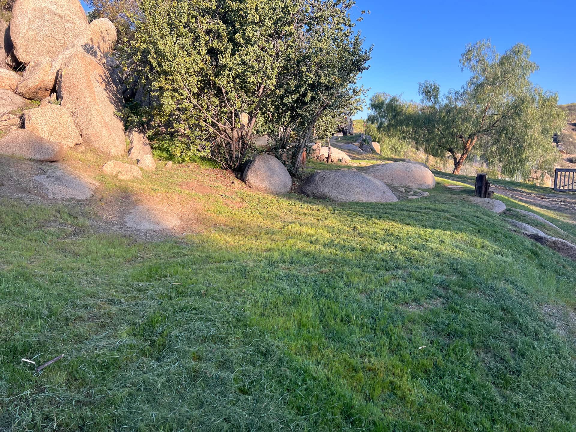 Picture of the site