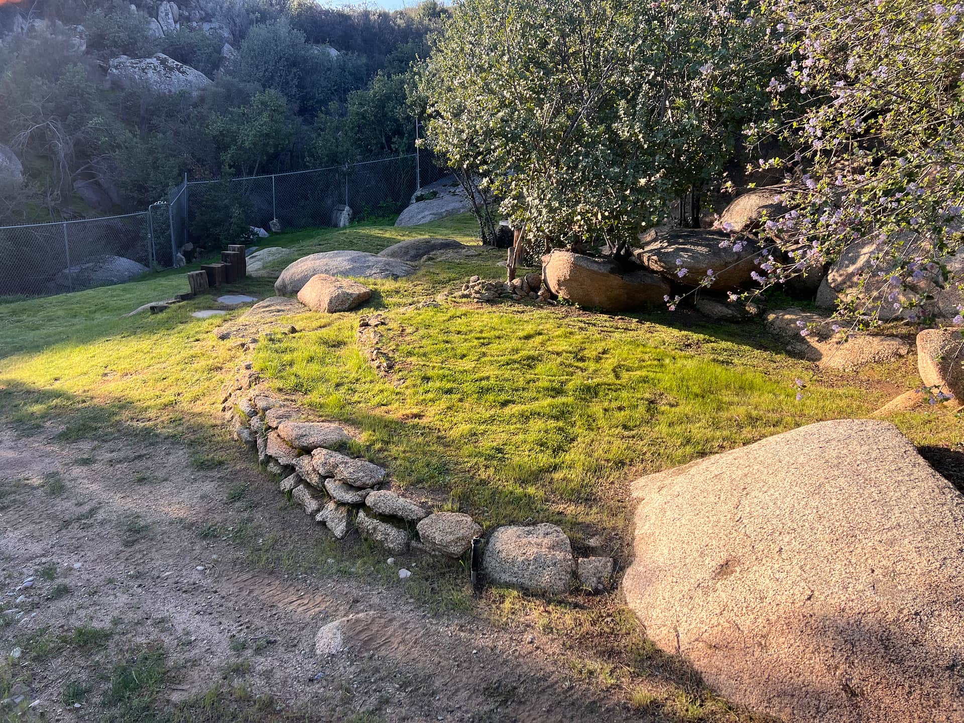 Picture of the site