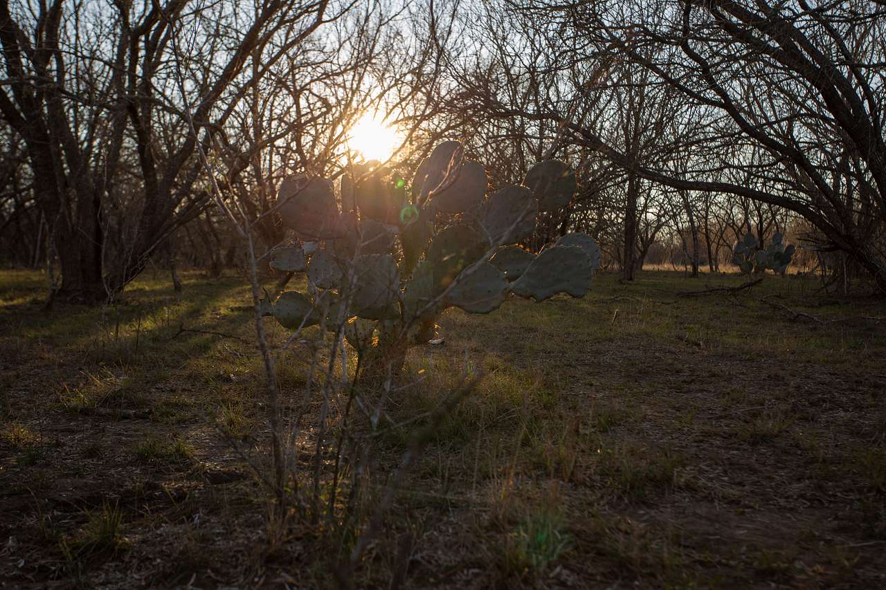 South Picosa