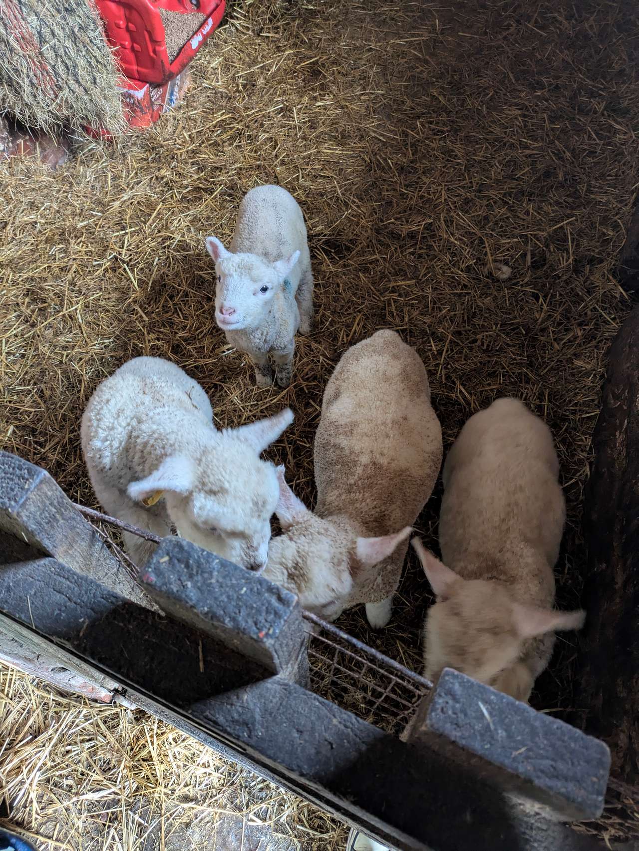 Harebeck Holidays @ Thornbank Farm