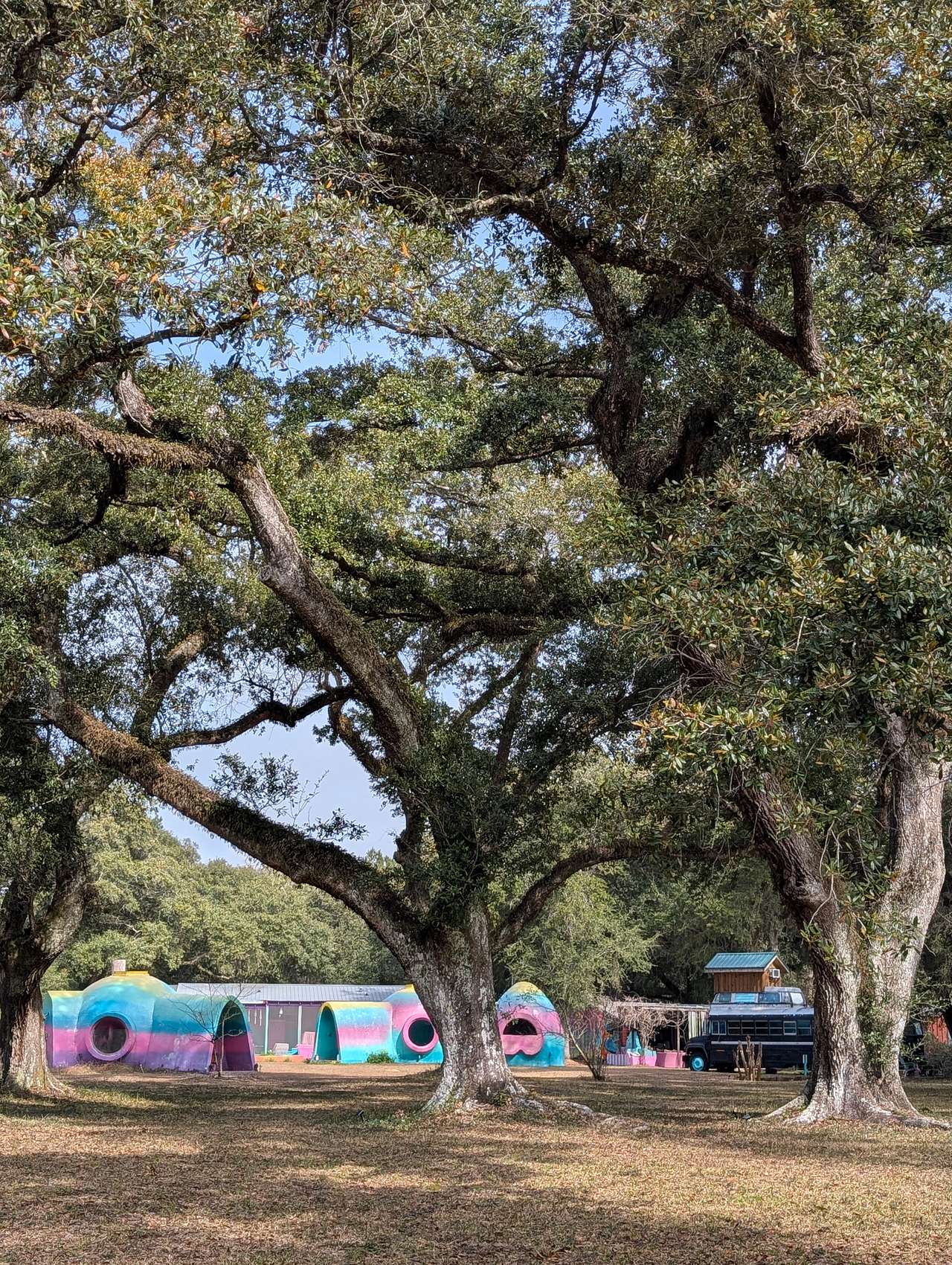 Colorful Camping at Beakertopia✨️🌈