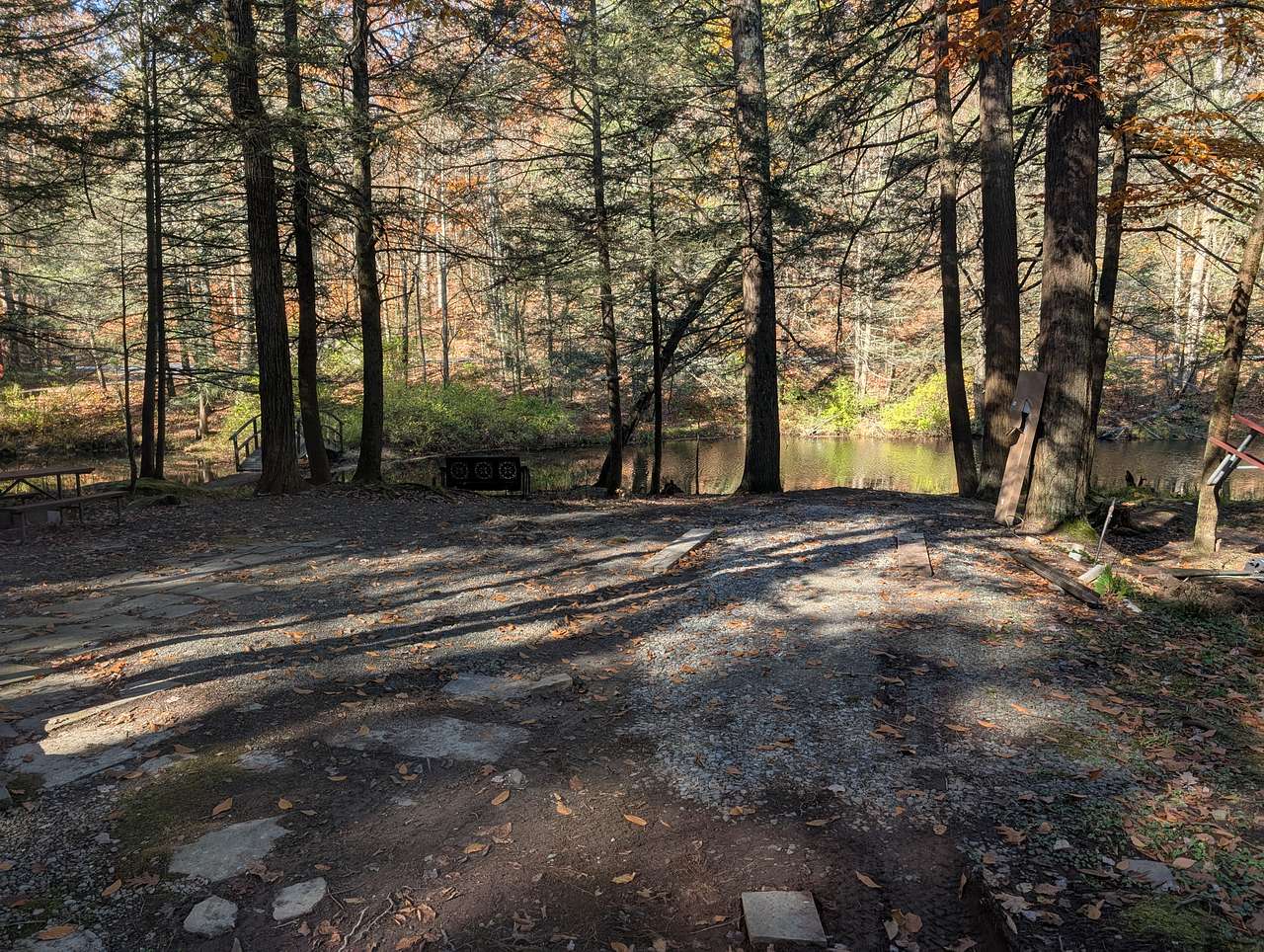 Picture of the site