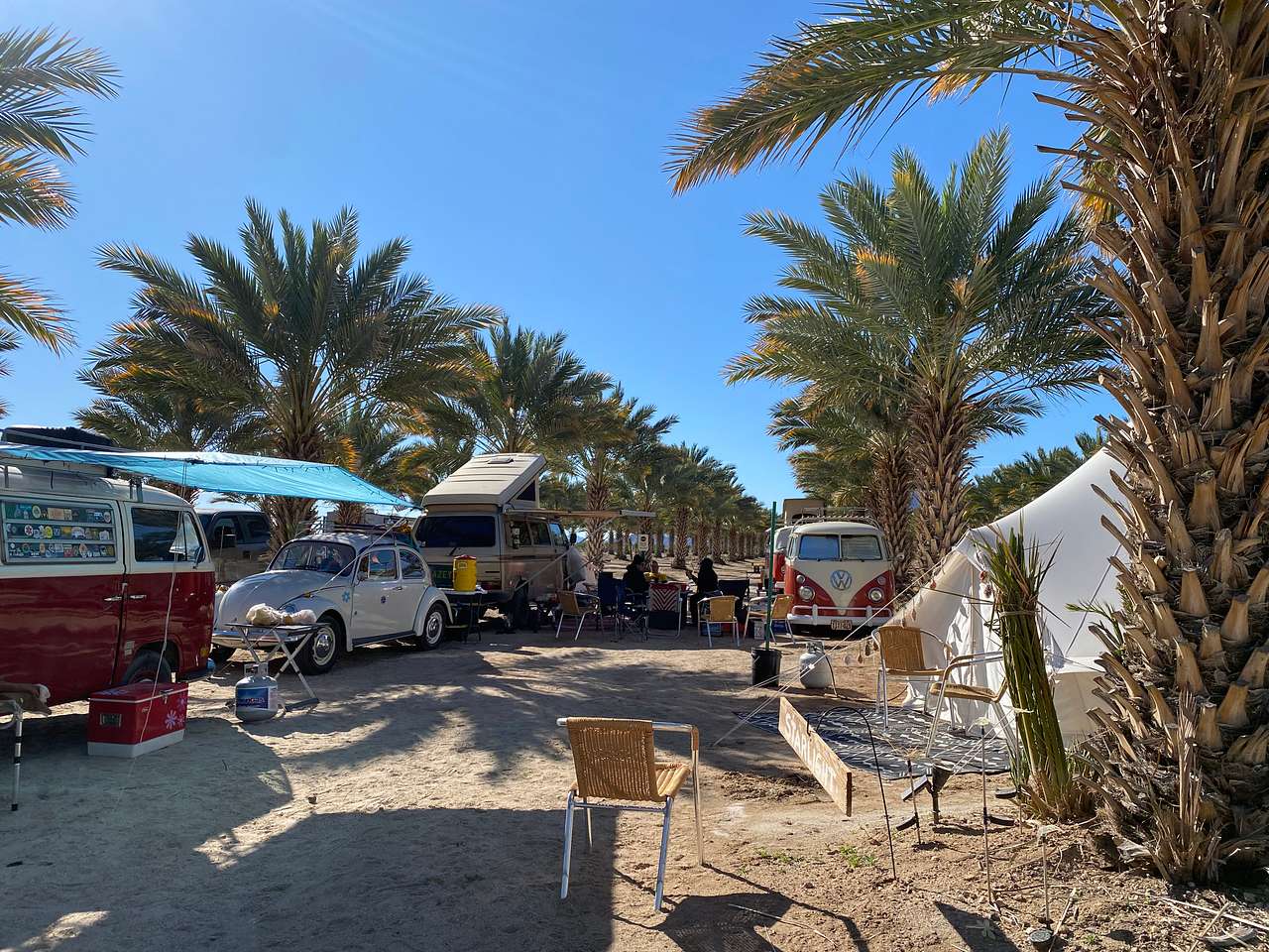 VW campout