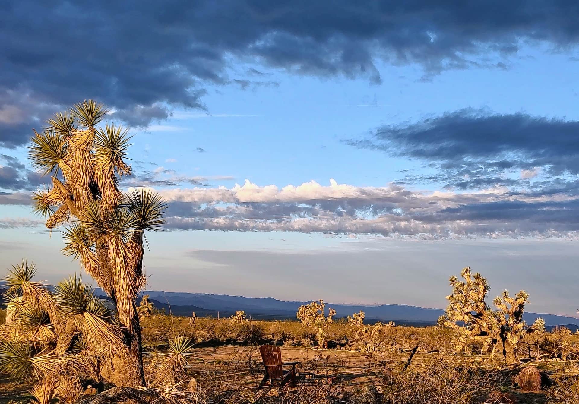 Magic in the Mojave
