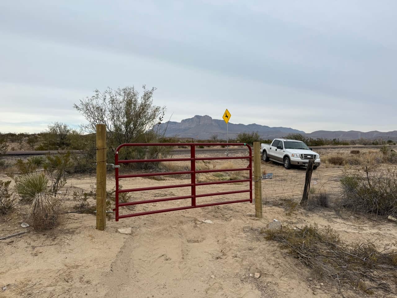 Picture of the site