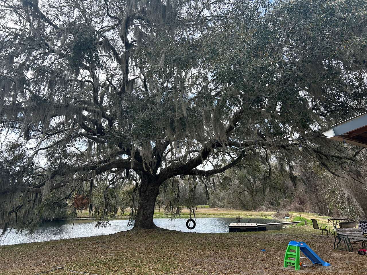 Our Peaceful farm near Alachua