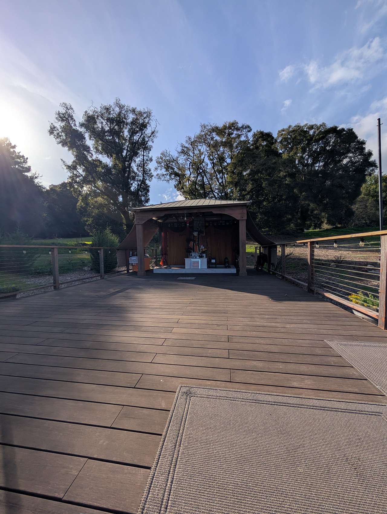 Picture of the site