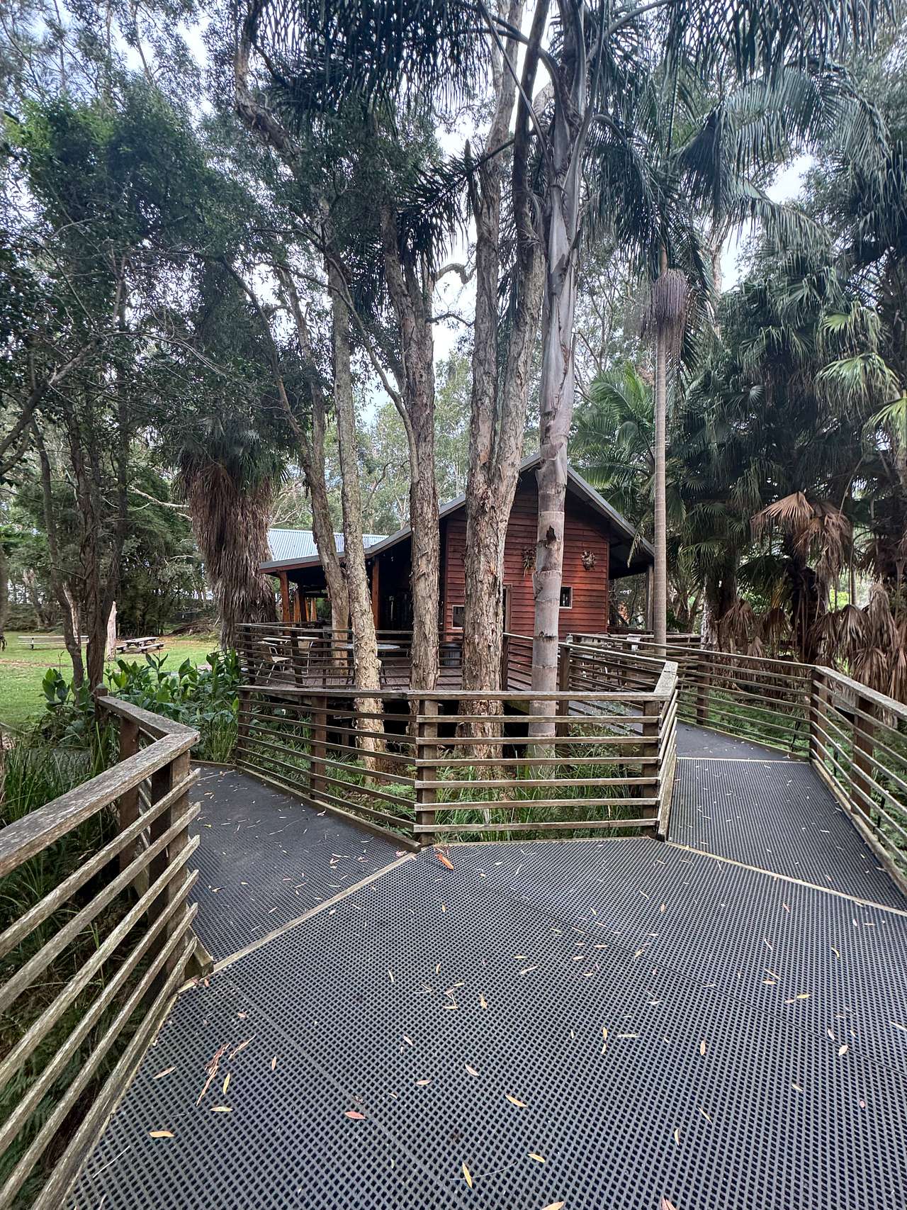 Melaleuca at One Mile
