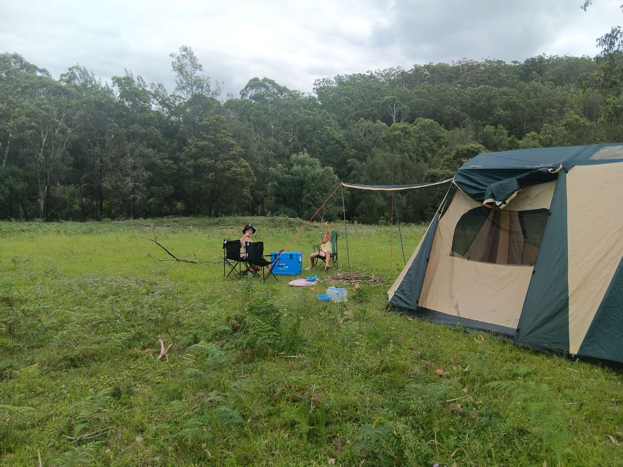 Picture of the site