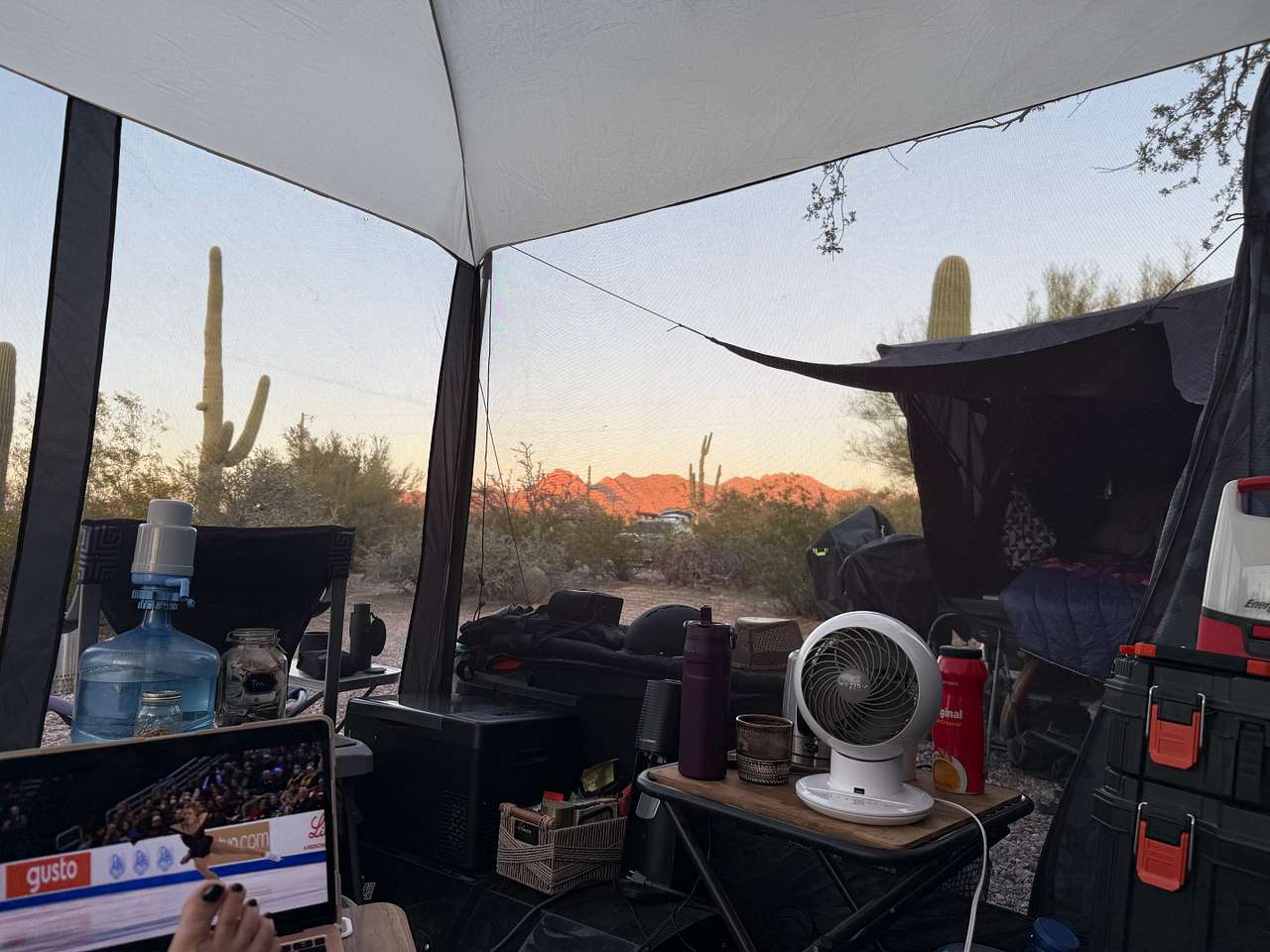 Camp Saguaro
