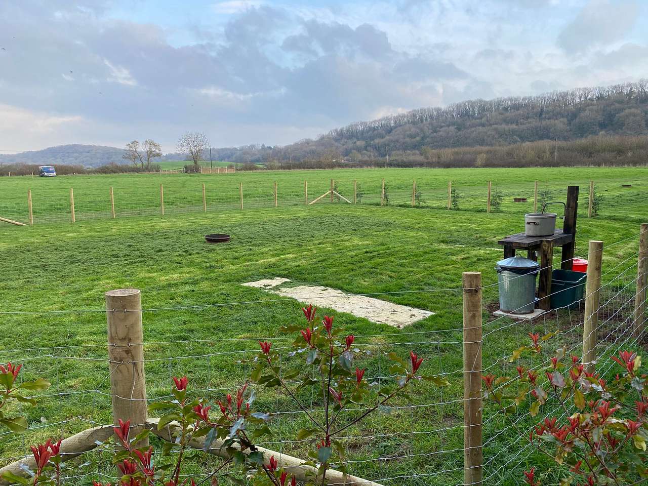 Picture of the site