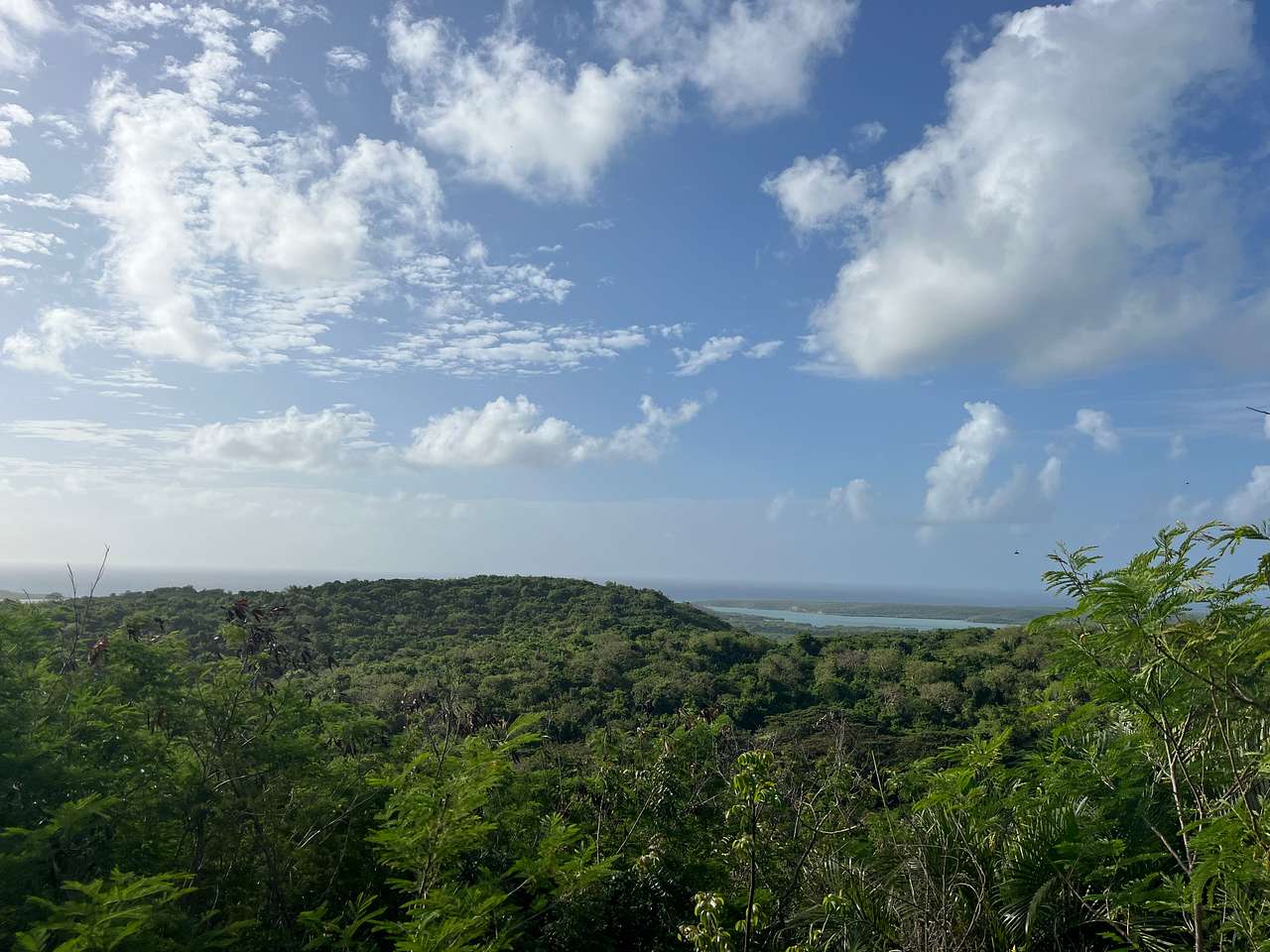 Suenos del Mar
