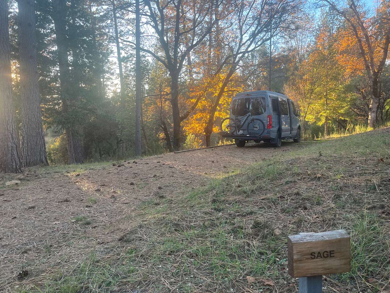 Picture of the site