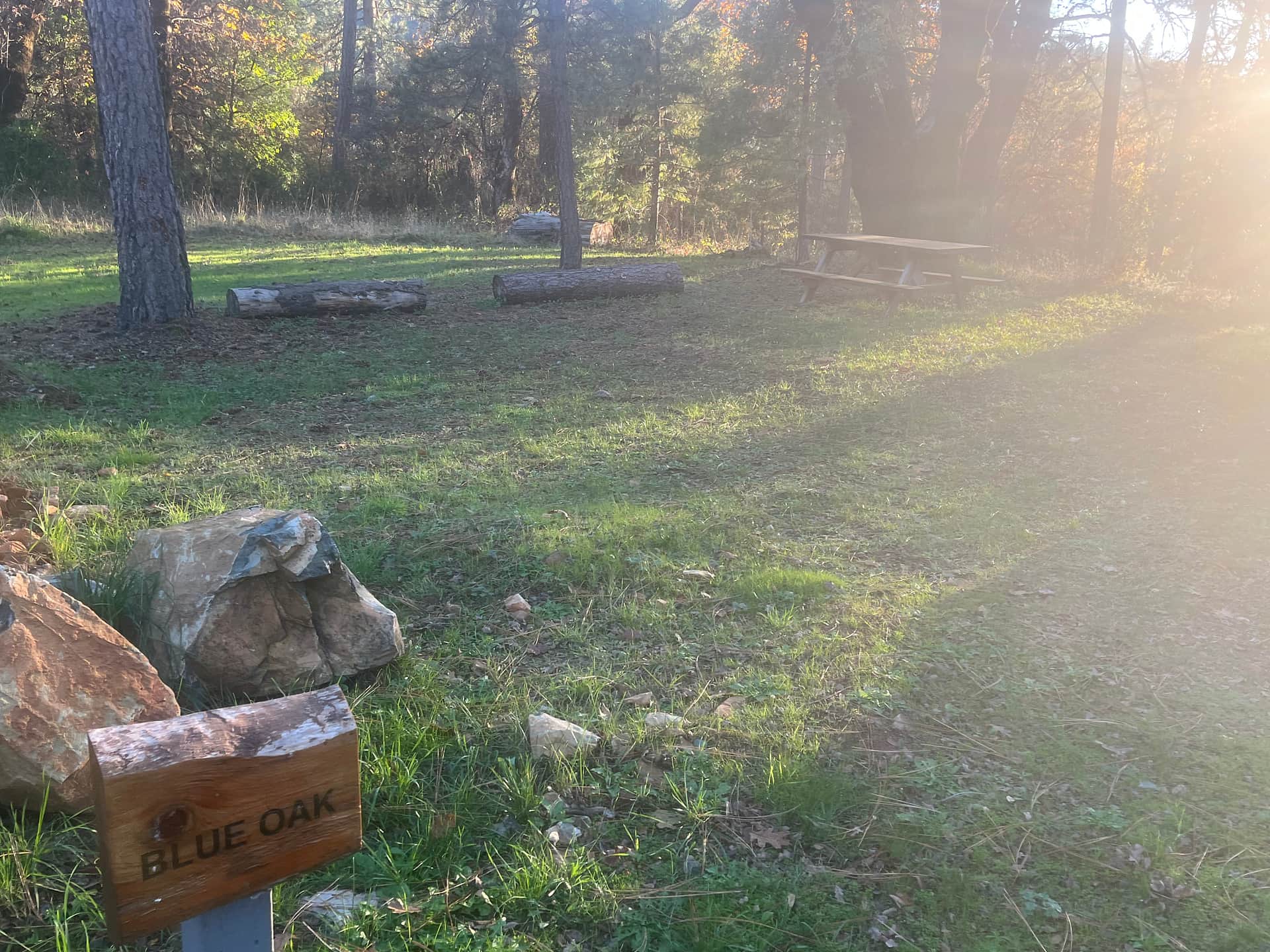 Sierra Waters Homestead